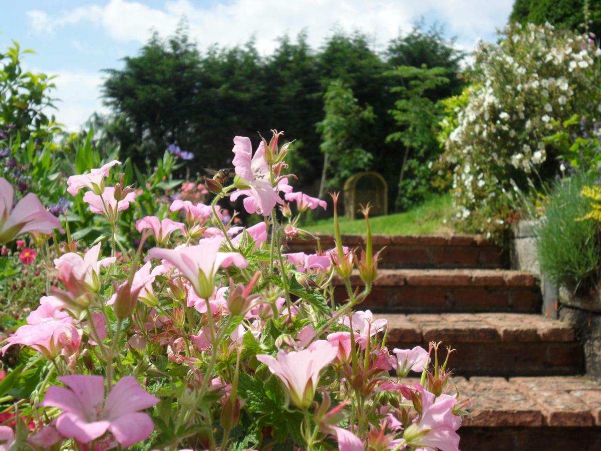 Odle Farm Villa โฮนิทัน ภายนอก รูปภาพ